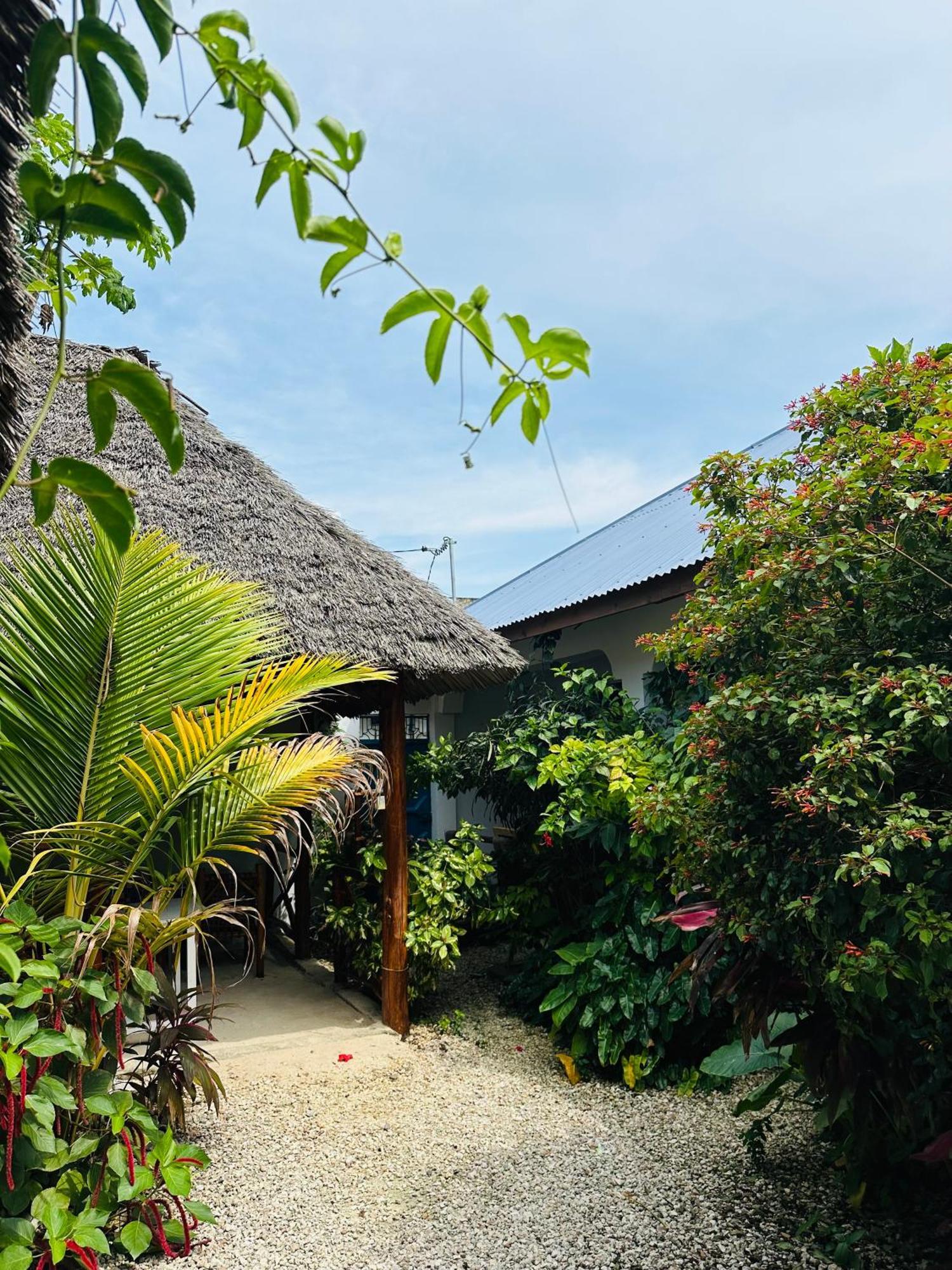 Lighthouse Guesthouse Nungwi Luaran gambar
