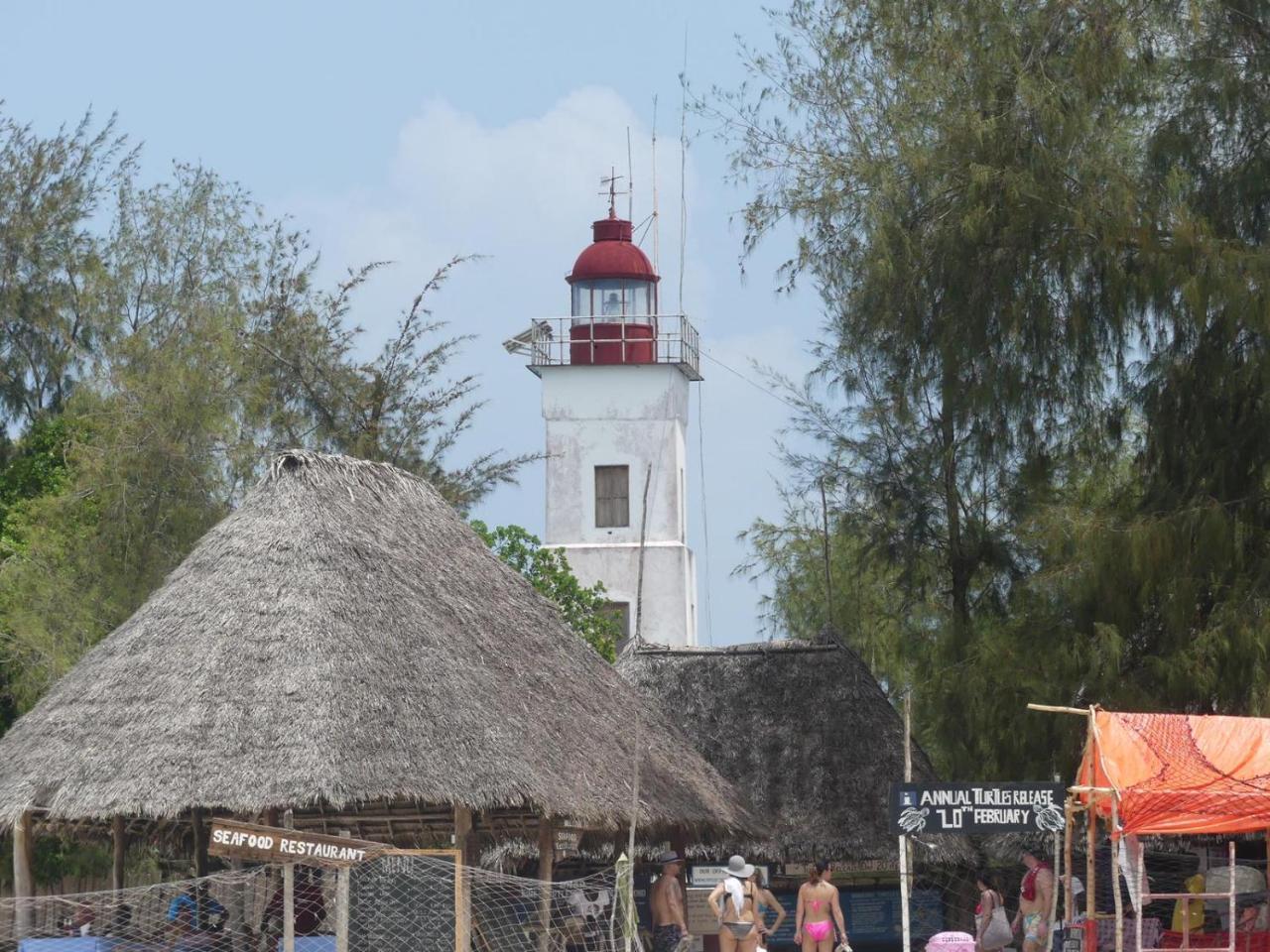 Lighthouse Guesthouse Nungwi Luaran gambar